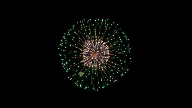 [4k] Fireworks Video Black Footage, FWCK XL Edition, Peony (2 of 11) [Digital]