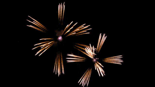 [4k] Fireworks Video Black Footage, FWCK L Edition, Horsetail (5 of 10) [Digital]