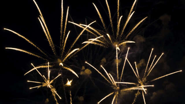 [4k] Fireworks Video Black Footage, FWCK XL Edition, Palmtrees (6 of 11) [Digital]
