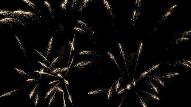 [4k] Fireworks Video Black Footage, FWCK XL Edition, Palmtrees (9 of 11) [Digital]