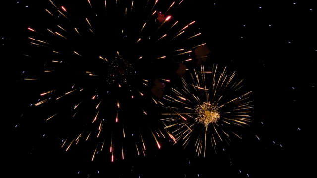 [4k] Fireworks Video Black Footage, FWCK XL Edition, Peony Colorful Bleeding (10 of 11) [Digital]