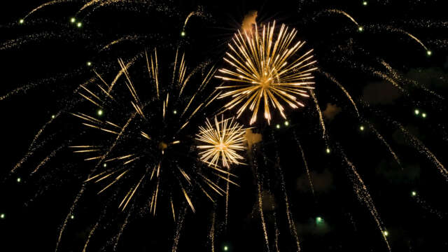 [4k] Fireworks Video Black Footage, FWCK XXL Edition, Peony Large Bleeding (9 of 12) [Digital]