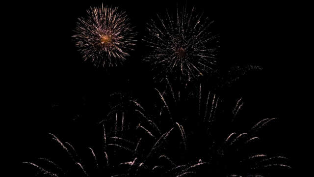 [4k] Fireworks Video Black Footage, FWCK M Edition, Figures Peony Bleeding (7 of 9) [Digital]