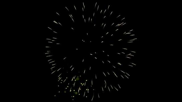 rk22 4k uhd fireworks video black footage with sound, 01 peony effect