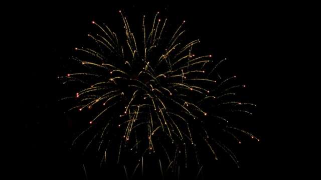 rk22 4k uhd fireworks video black footage with sound, 01 peony effect