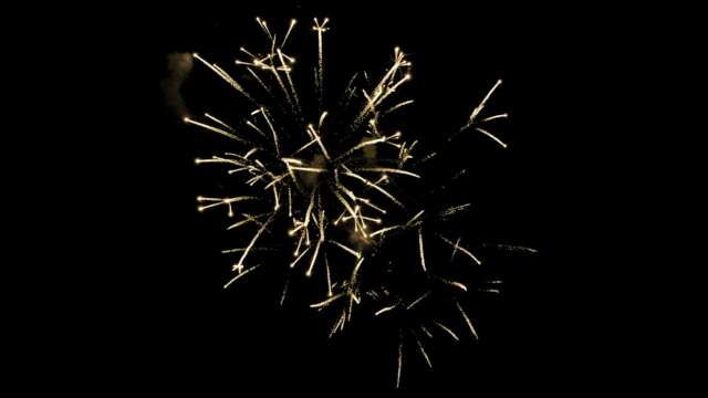 rk22 4k uhd fireworks video black footage with sound, 01 peony effect
