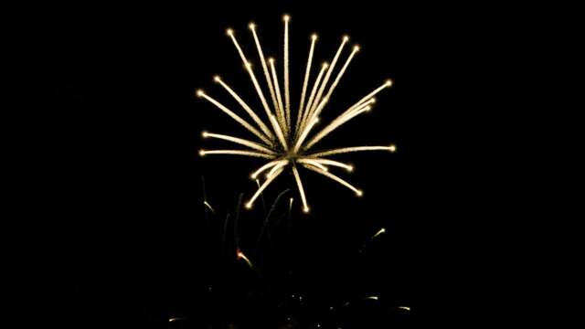 rk22 4k uhd fireworks video black footage with sound, 01 peony effect