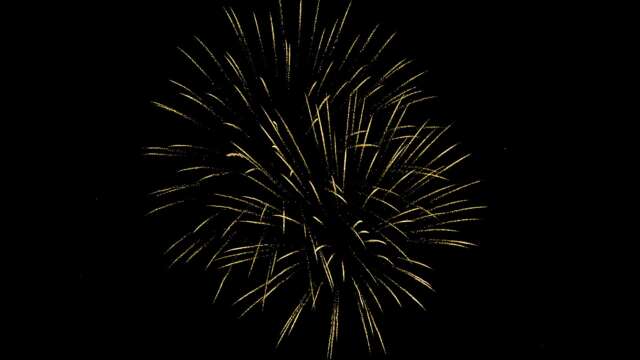 rk22 4k uhd fireworks video black footage with sound, 01 peony effect