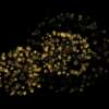 rk22 4k uhd fireworks video black footage with sound, 01 peony effect