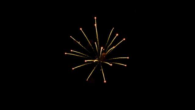 rk22 4k uhd fireworks video black footage with sound, 01 peony effect