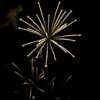 rk22 4k uhd fireworks video black footage with sound, 01 peony effect