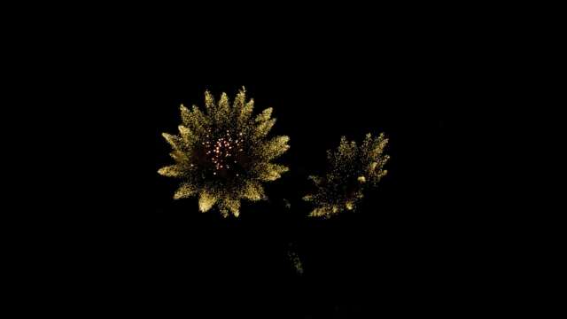rk22 4k uhd fireworks video black footage with sound, 01 peony effect