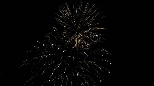 rk22 4k uhd fireworks video black footage with sound, 01 peony effect