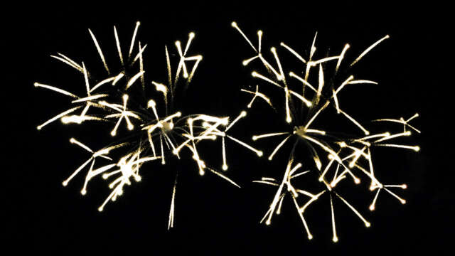 fwck rk23 2160p 03 palmtree forest