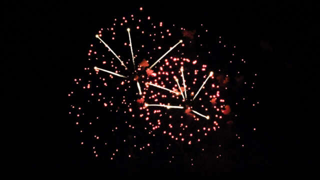 fwck rk23 2160p 04 brocade palmtree pistil mix