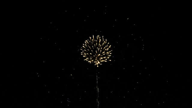 fwck rk23 2160p 15 peony glitter