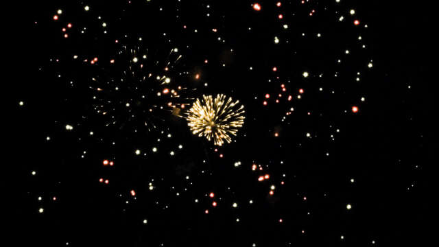 fwck rk23 2160p 16 peony glitter burst