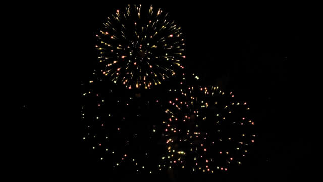 fwck rk23 2160p 29 glitter peony