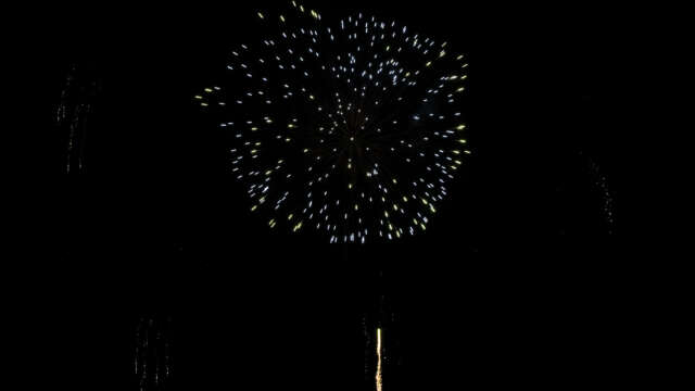 fwck jpt24 2160p 09 colorful peony with crackle ending