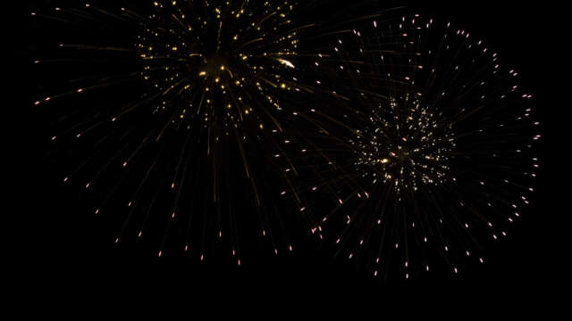 fwck jpt24 2160p 13 colorful peony with strobe ending