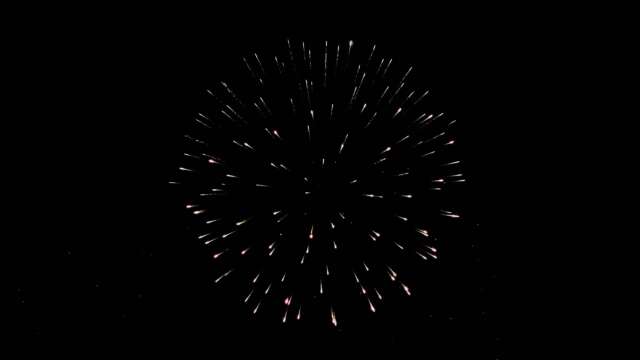 fwck rk25 2160p 18 peony