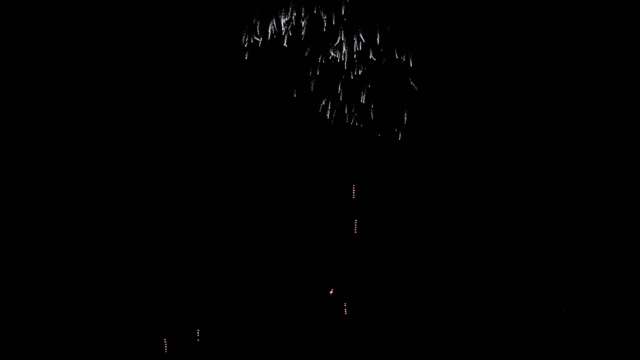 fwck rk25 2160p 19 worms