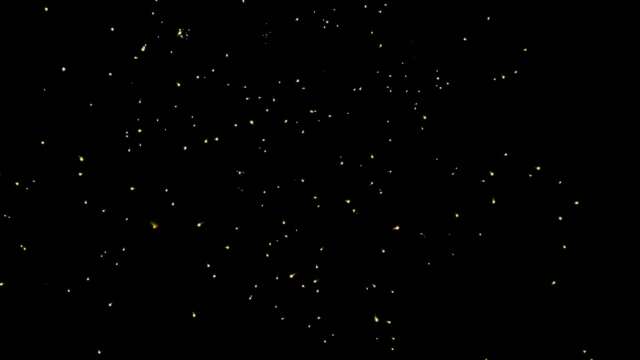 fwck rk25 2160p 20 delay crackle