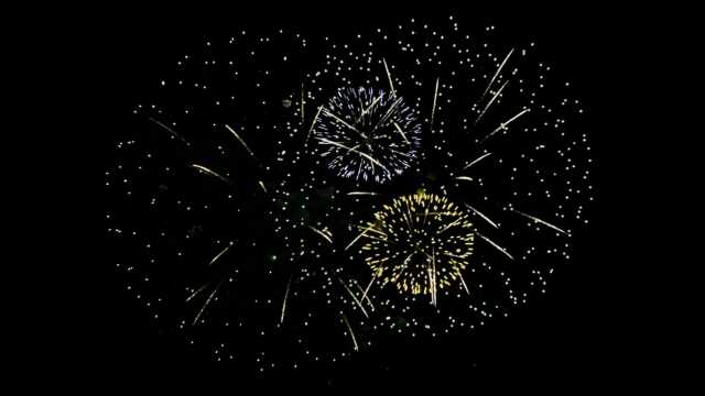 JPT26 Fireworks Videos Black Footage in 4k UHD with Sound, 09 Dahlia & Peony Effects