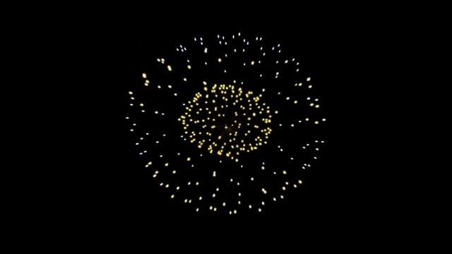 JPT26 Fireworks Videos Black Footage in 4k UHD with Sound, 14 Pistil Glitter Single Shot Effect