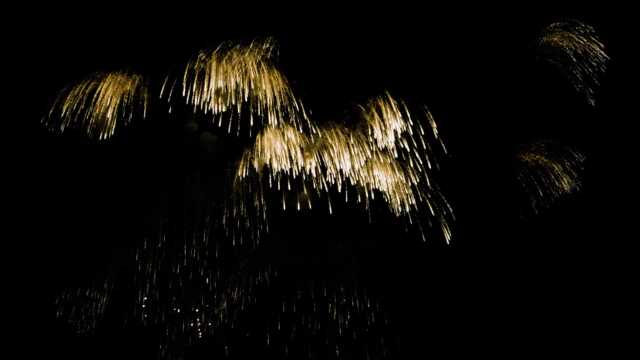JPT26 Fireworks Videos Black Footage in 4k UHD with Sound, 15 Horsetails Glitter Effect