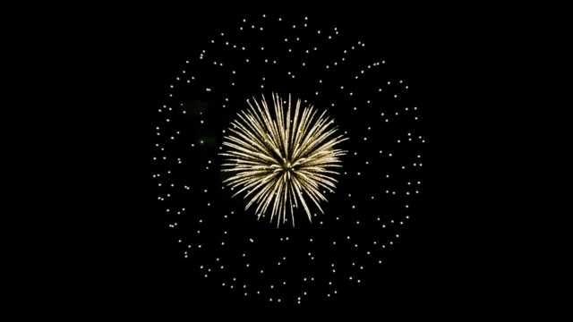 JPT26 Fireworks Videos Black Footage in 4k UHD with Sound, 23 Peony Brocade Effect [Digital]