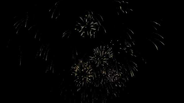 JPT26 Fireworks Videos Black Footage in 4k UHD with Sound, 26 Pistil Brocade Glitter Effect