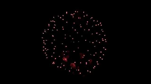 fwck rk26 2160p 01 peony sequence