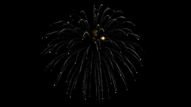 fwck rk26 2160p 02 flying fish peony chrysanthemum