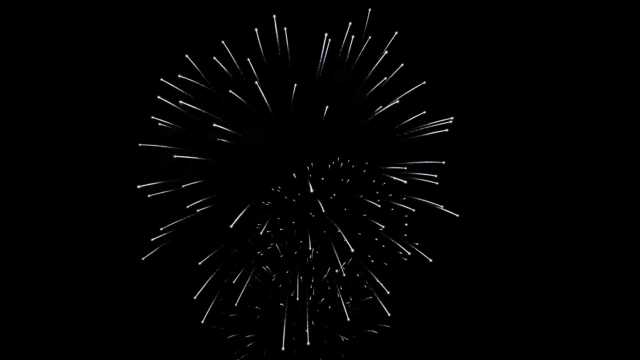 fwck rk26 2160p 07 pistil