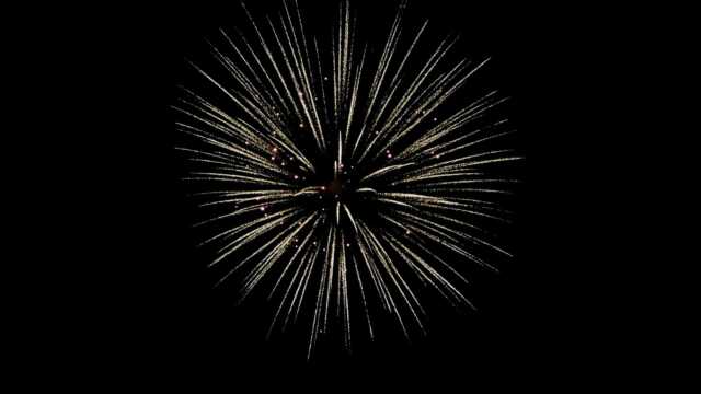 fwck rk26 2160p 12 chrysanthemum