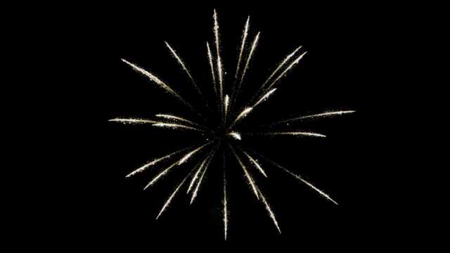 fwck rk26 2160p 23 palmtrees crackle