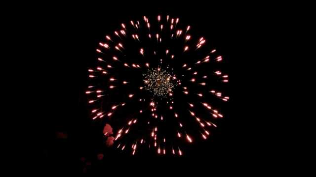fwck rk26 2160p 24 peony crackle