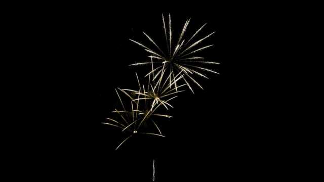 fwck rk26 2160p 33 palmtrees crackle